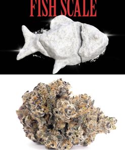 Fish Scale Hybrid