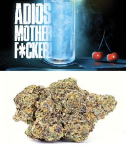 Adios Motherf hybrid