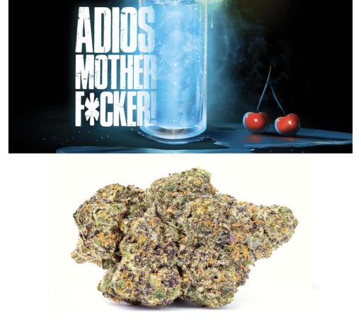 Adios Motherf hybrid