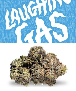 Laughing Gas - Hybrid