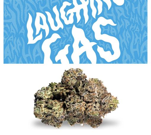 Laughing Gas - Hybrid