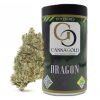 Cannagold Dragon - Hybrid