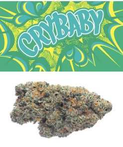 Cry Baby Sativa