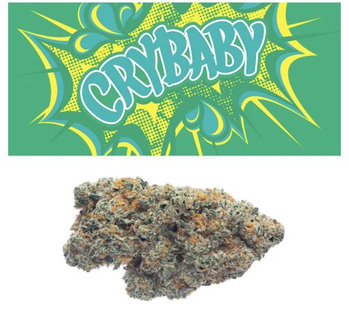 Cry Baby Sativa