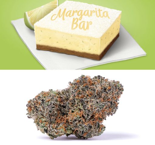 Margarita Bar - Hybrid