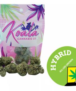 Koala Cannabis Co. - Zealousy - Sativa