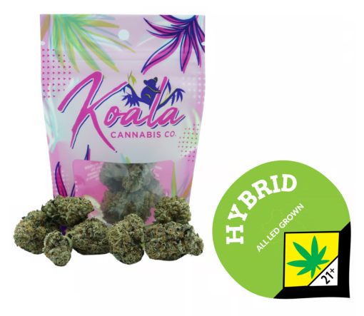 Koala Cannabis Co. - Zealousy - Sativa