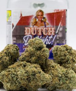 Buy Phat Panda Dutch Delight Sativa