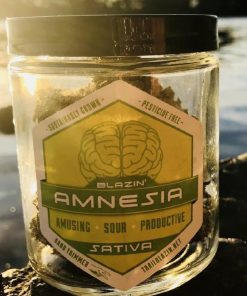 Trail Blazin' Productions - Amnesia - Hybrid