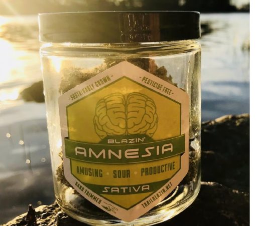 Trail Blazin' Productions - Amnesia - Hybrid