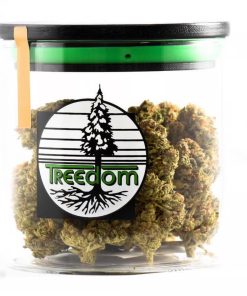 Treedom - Irish Spring - Sativa