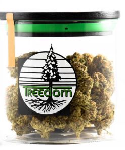 Treedom - RS11 - Sativa